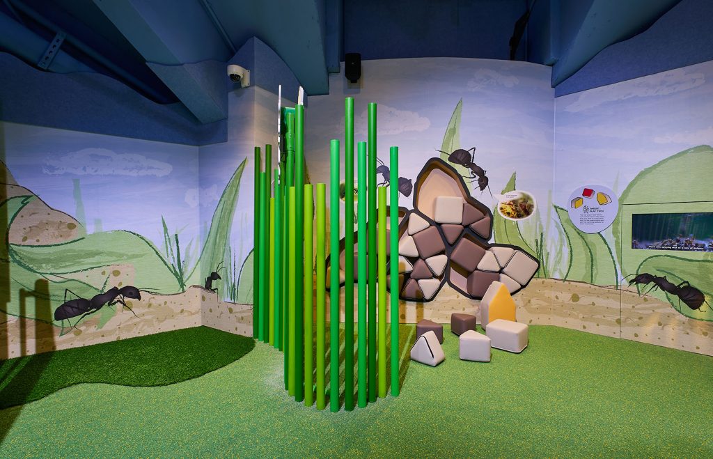 Little ant kingdom, science centre singapore by spacelogic