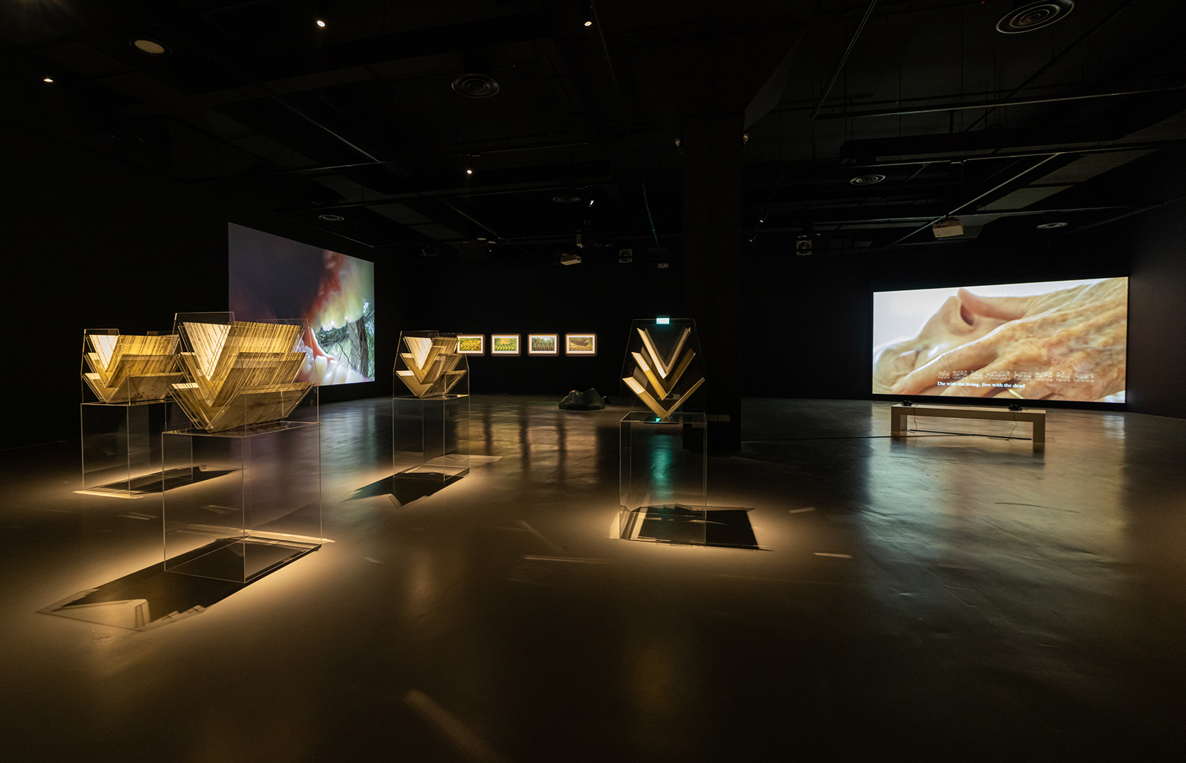 Lost & Found: Embodied Archive