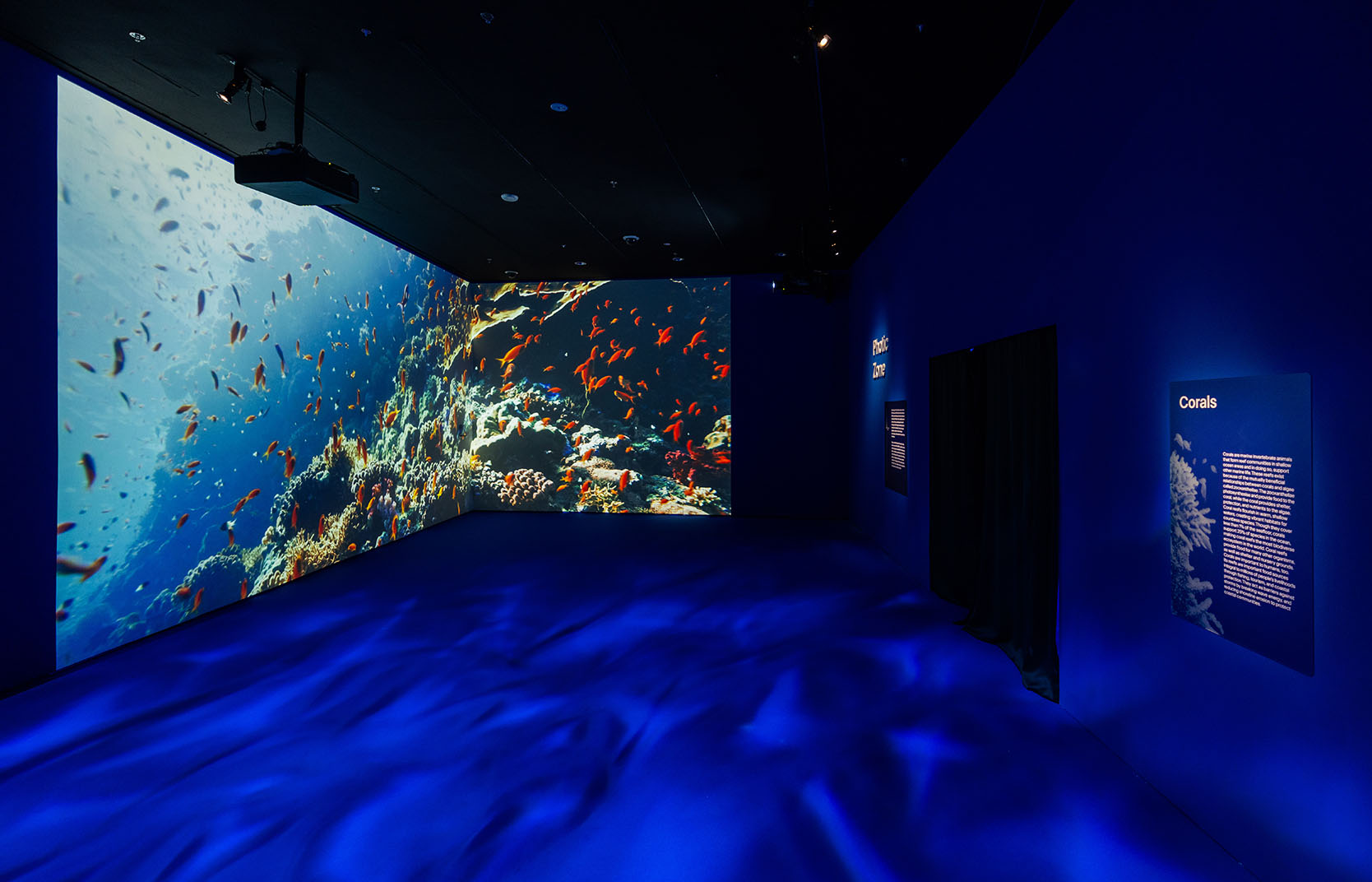 OceanX footage of Red Sea Corals immerses visitors in one of the warmest seas in the world_Credit to Marina Bay Sands